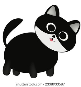 cat
black cat
pet
animal
cat with bell