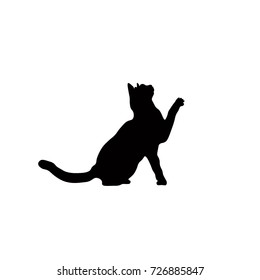 cat black silhouette isolated vector on white background