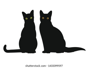 Cat. Black silhouette kitty on white background. Vector illustration.