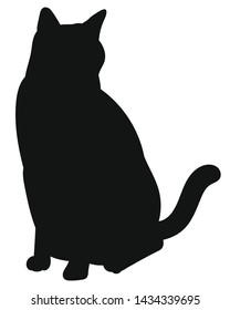 Cat. Black silhouette kitty on white background. Vector illustration.