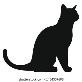 Cat. Black silhouette kitty on white background. Vector illustration.