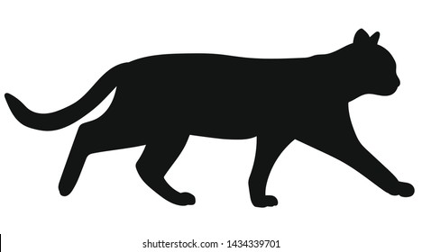 Cat. Black silhouette kitty on white background. Vector illustration.