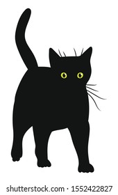 Cat. Black silhouette kitty on white background. Vector illustration.