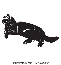 Cat black silhouette on white background, vector illustration. British shorthair breed cat. Sticker, emblem, print.