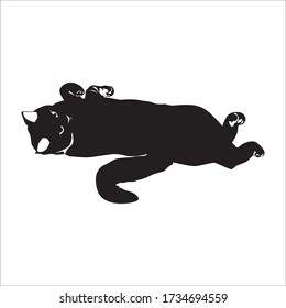 Cat black silhouette on white background, vector illustration. British shorthair breed cat lying on back. Sticker, emblem, print.