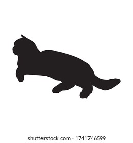 Cat black silhouette on white background, vector illustration. British shorthair breed cat. Sticker, emblem, print.