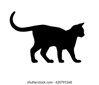 Cat black silhouette on white background. Vector illustration