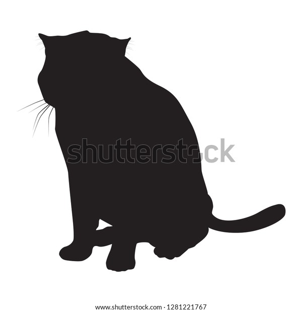 Cat Black Silhouette On White Background Stock Vector Royalty