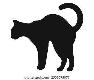 Cat black silhouette. Vector illustration 13