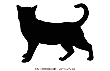 cat  black silhouette vector illustration