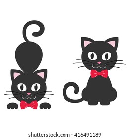 cat black with tie set