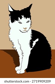 cat with black and white fur vector illustration