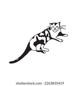 Cat black and white illustration, on white background. Cat laying down.