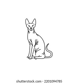 ilustración del doodle del perfil del contorno de la esfinx blanca negra del gato.