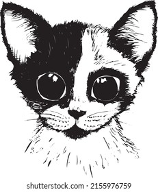 Cat black and white vector image. Cute cartoon kitten portrait, hand drawn