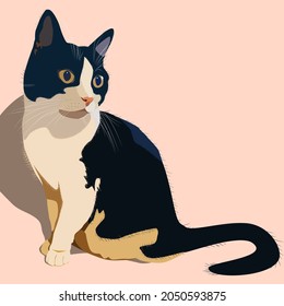The cat is black and white. Vector pet kitty.