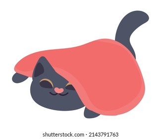 gato con icono de manta aislado