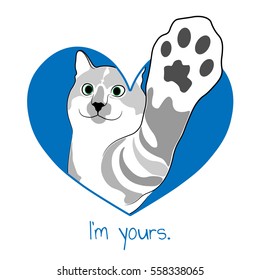 Cat in blue heart.