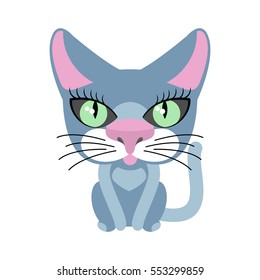 Cat blue isolated. Pet on white background
