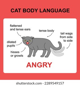 4You Language School Vignola - 🇬🇧🇺🇸 IDIOM A SCAREDY-CAT