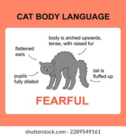 Cat body language behavior fearful signals. Card with information for veterinarian or education ready for print