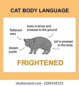 Cat body language behavior frightened signals. Card with information for veterinarian or education ready for print