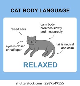 Cat body language behavior relaxed signals. Card with information for veterinarian or education ready for print