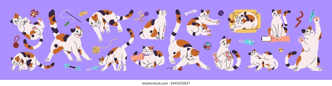 Cat body language set. Happy kitten in different postures. Cute kitty plays with toys, lying in box, angry. Funny pet behavior: communication, expression emotions. Flat isolated vector illustration