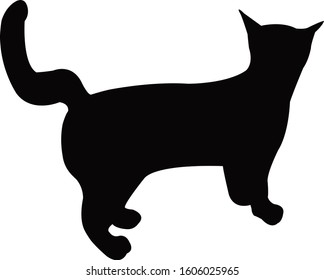 a cat body silhouette vector