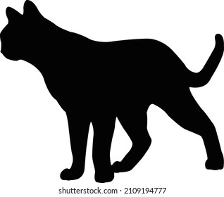 ein Katzenkörper-Silhouette-Vektor