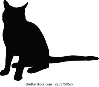 a cat body silhouette vector