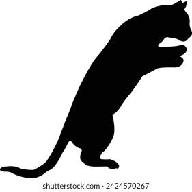 un vector de silueta de cuerpo de gato