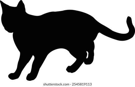 Un Vector de silueta de cuerpo de gato