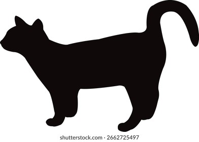 a cat body silhouette vector