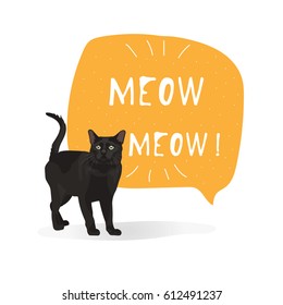 Cat Bombay vector illustration isolated with banner meow-meow