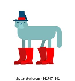 Cat in Boots. Pet in shoes. Fashionable animal