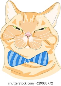 cat with bow
