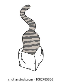 Cat in the box. 
