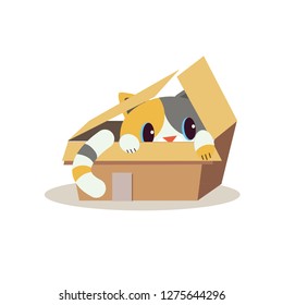 cat in the box 4
