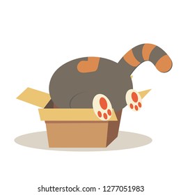 cat in the box 6