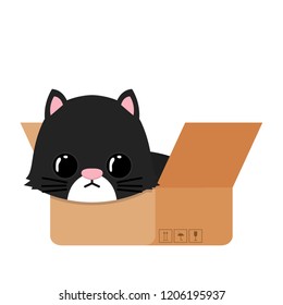 Cat in the box cartoon vector. symbol.