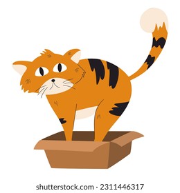 Cat in the box. Cute funny cat character with box. Domestic animal, pet. Vector float cartoon character isolated illustration
