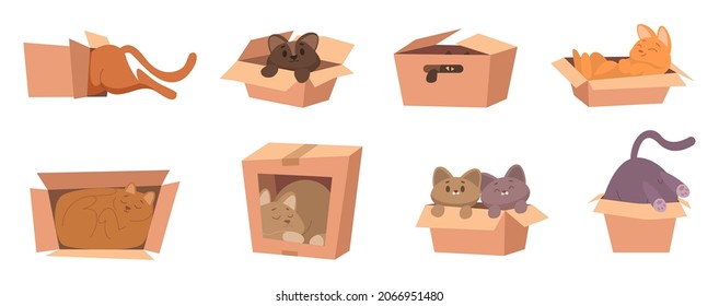 Cat in box. Funny kitty playing and sitting in cardboard box gift with domestic animal package with pets exact vector cartoon illustration