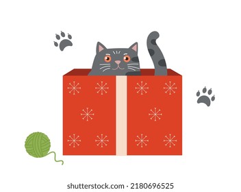 Cat in box. Gray kitten looks at bowl, sticker for social networks. Character climb into gift, surprise and surprise. Playful animal, comfort and coziness, holidays. Cartoon flat vector illustration