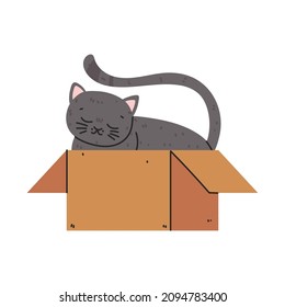 cat in the box icon