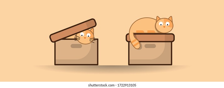 The cat in the box. Illustration of a cat. Vector. Graphic.