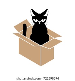 Cat in box isolated. Pet in cardboard box. vector illustration