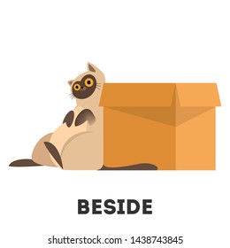 Cat and box. Learning preposition concept. Animal behind the box. Isolated vector educational illustration in cartoon style