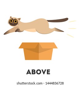 Cat and box. Learning preposition concept. Animal above the box. Isolated vector educational illustration in cartoon style