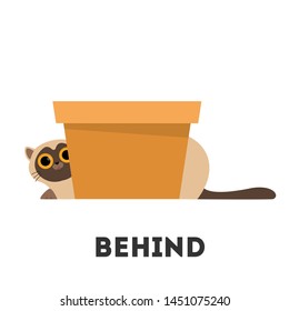 Cat and box. Learning preposition concept. Animal behind the box. Isolated vector educational illustration in cartoon style